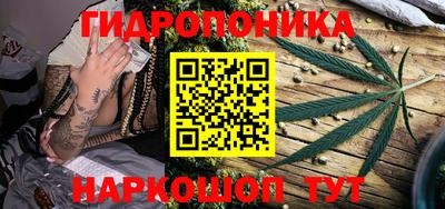 прущие грибы Тула
